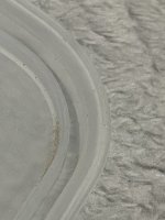 IMG_1825.jpeg