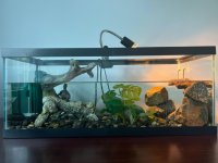 any-suggestions-for-my-tank-setup-i-probably-wouldnt-be-v0-4q3r3hz10lf91.jpg any-suggestions-for-my-tank-setup-i-probably-wouldnt-be-v0-4q3r3hz10lf91.jpg