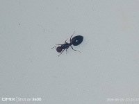 IMG_20260525_172257.jpg