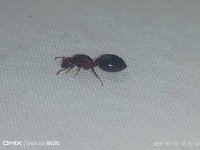 IMG_20260525_172236.jpg