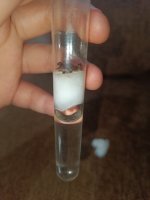 IMG_20260525_201045.jpg