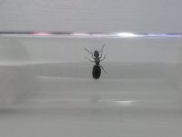 20260525_201840.jpg