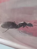 20260525_172637.jpg