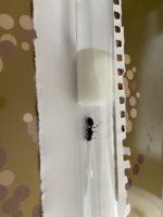 IMG_3475.jpeg