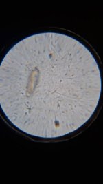 20260430_223812.jpg