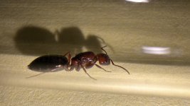 IMG_8458.jpeg