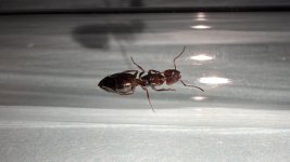 IMG_8453.jpeg