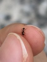 IMG_0491.jpeg
