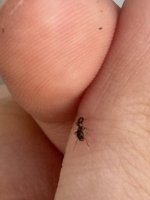 IMG_0488.jpeg