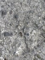 IMG_0483.jpeg