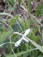 IMG-20260526-WA0103.jpg