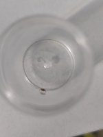 IMG_20260526_185858.jpg