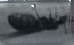 1779870510334.png