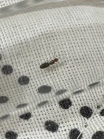 IMG_1546.jpeg