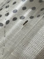 IMG_1545.jpeg