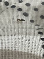 IMG_1544.jpeg