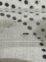 IMG_1543.jpeg