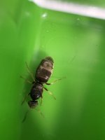 IMG_0226.jpeg