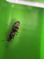 IMG_0225.jpeg