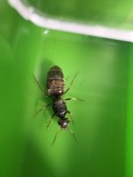 IMG_0224.jpeg