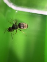 IMG_0222.jpeg