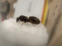 IMG_0230.jpeg