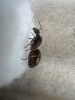 IMG_0228.jpeg