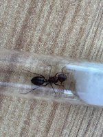 IMG_1548.jpeg
