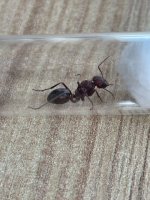 IMG_1547.jpeg
