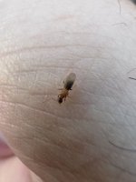 IMG_0233.jpeg