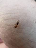 IMG_0232.jpeg