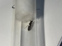 IMG_6075.jpeg