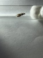 IMG_0415.jpeg