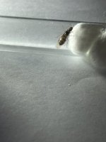 IMG_0416.jpeg