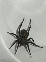 IMG_1128.jpeg