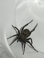 IMG_1127.jpeg