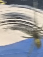 IMG_20260529_130348.jpg