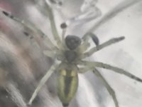 IMG_20260529_130316.jpg