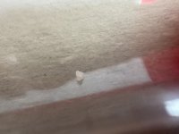 IMG_0244.jpeg