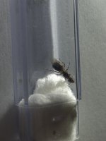 IMG_0426.jpeg