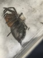 IMG_20260529_140112.jpg