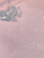 IMG_20260530_124812.jpg