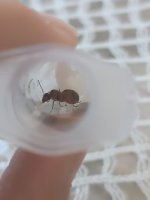 1000136869.jpg