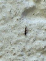 IMG_1190.jpeg
