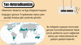 Heterodinamizm (12).png