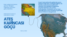 Heterodinamizm (13).png