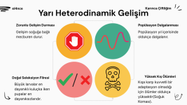 Heterodinamizm (15).png