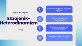 Heterodinamizm (16).png