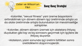 Heterodinamizm (1).png