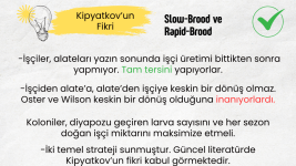 Heterodinamizm (2).png
